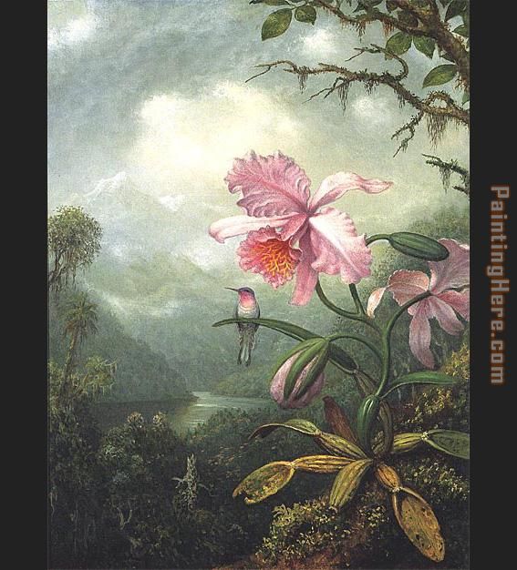 Hummingbird Perched on an Orchid Plat